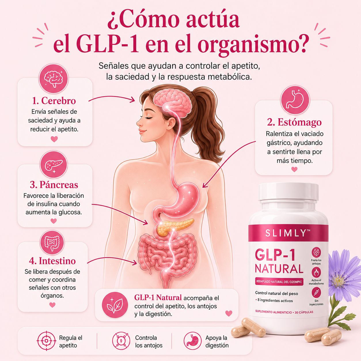 Slimly™ | GLP-1 Natural | Bajá de peso sin inyecciones, sin dietas extremas